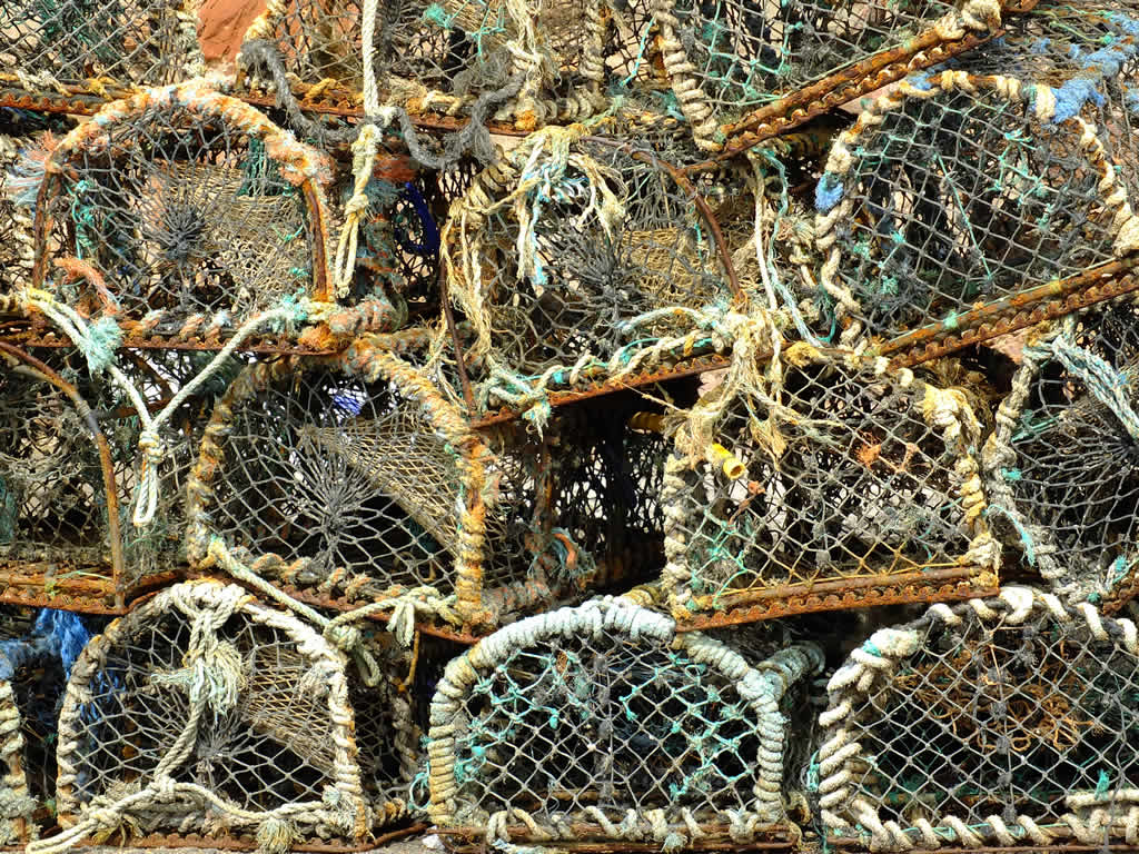 DSCF1159, Crail Harbour, Fife