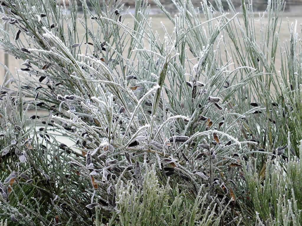 DSCF0026  Grantown on Spey