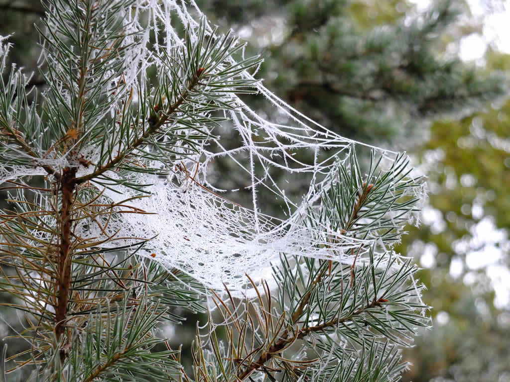 DSCF0028  Grantown on Spey