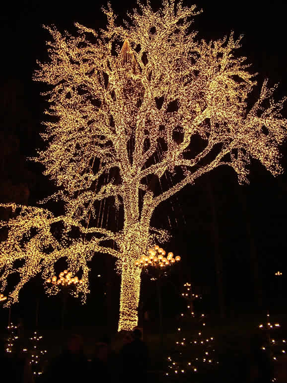 DSCF0194  Gothenburg / G�teborg