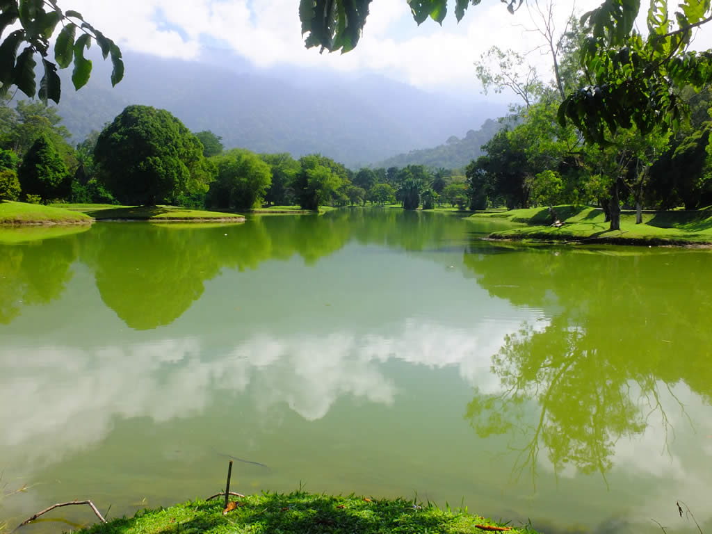 DSCF4267: Taiping Lake Gardens