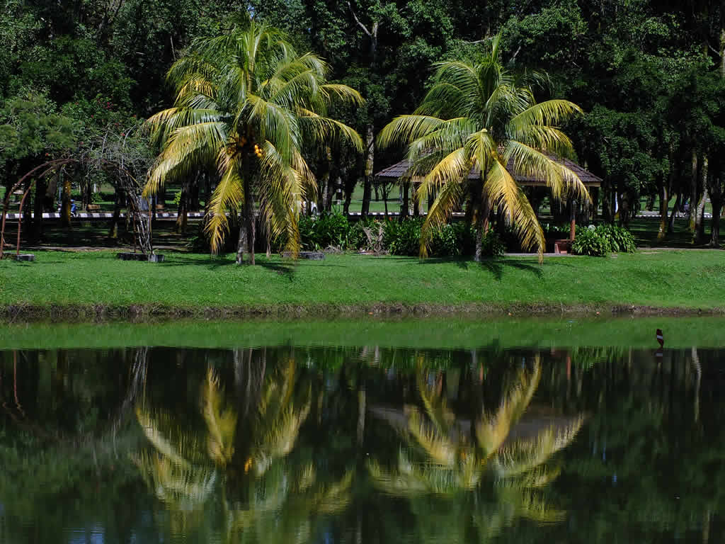 DSCF4275: Taiping Lake Gardens