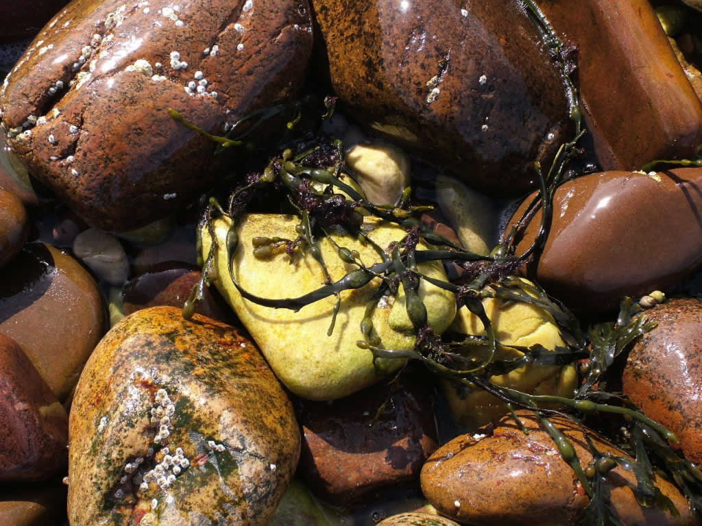 DSCF0443, Achiltibuie