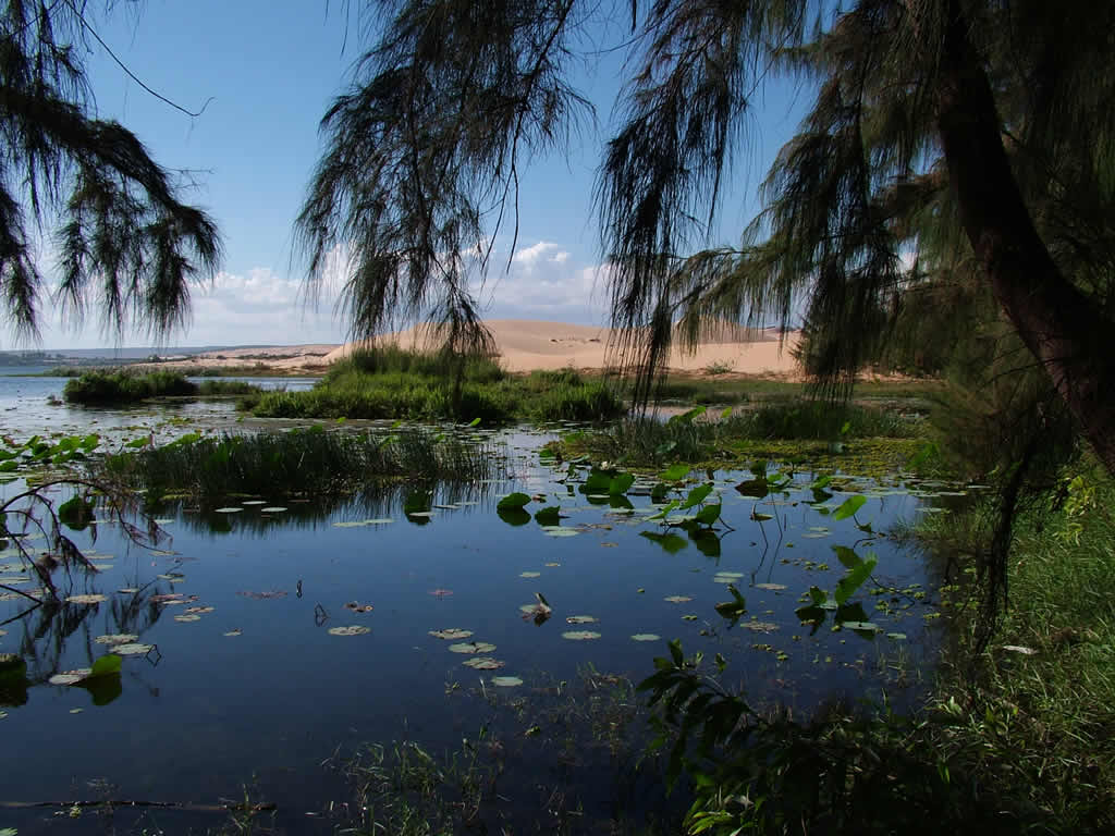 Photo: Mui Ne, Vietnam